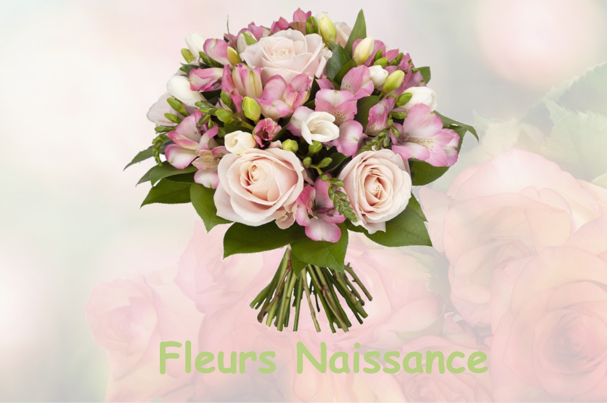 fleurs naissance AURIBEAU-SUR-SIAGNE