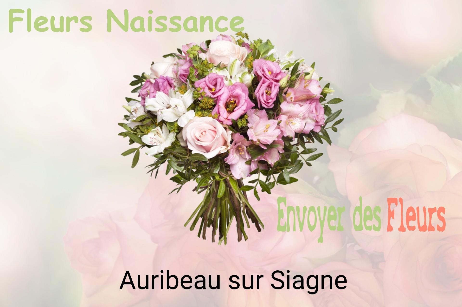 Bouquet de fleurs de naissance livré à Auribeau-sur-Siagne