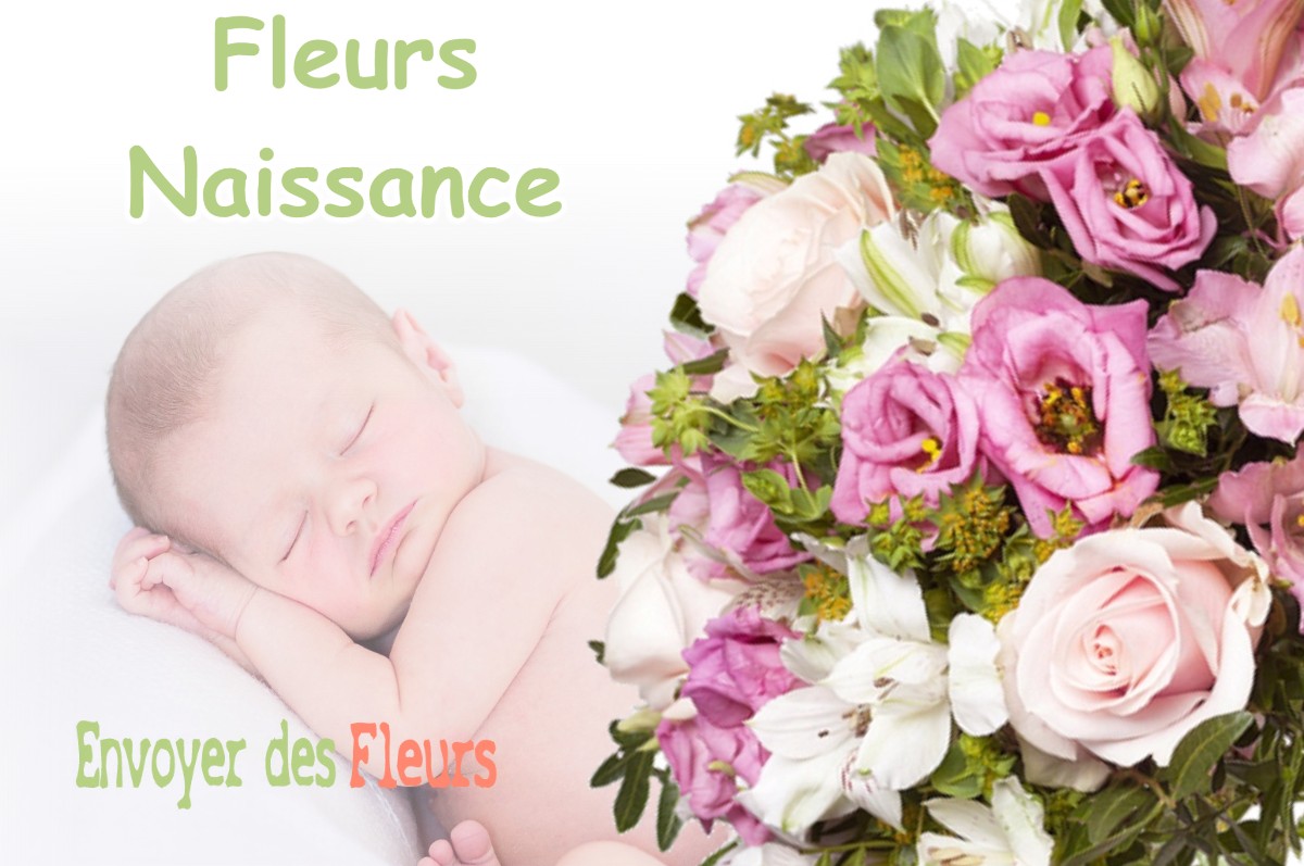 lIVRAISON FLEURS NAISSANCE à AURIBEAU-SUR-SIAGNE